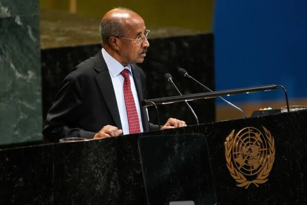Eritrea Seeks UN Intervention as Ethiopia Dispute Raises Fears of Regional Conflict