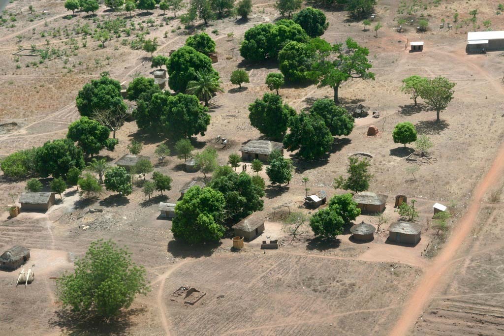 Aerial view of a village of thatched huts among green trees beside a dirt road.